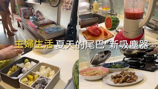 主婦一日〃白天的日常/抓住夏天的尾巴切西瓜、竹筍粥/新的吸塵器伊萊克斯無線吸塵器Q6| Carrie’s vlog 主婦生活