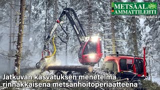 Poiminta- ja pienaukkohakkuu hyödyttää metsän monimuotoisuutta sekä virkistys- ja matkailukäyttöä