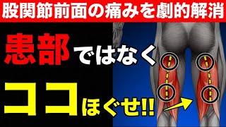 【効果抜群】股関節前側の痛み・張りを劇的に解消するストレッチ【太もも前　痛み】