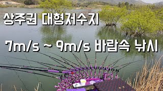 수몰나무 1급포인트 상주권 대형저수지 a large reservoir  first-class point