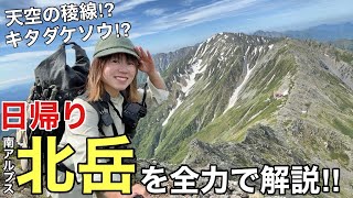 【日帰り北岳】を全力で解説‼︎お花畑に重厚な稜線‼︎希少なキタダケソウを探しに‼︎南アルプス/2024年版