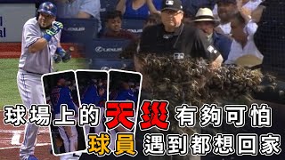 球場上的天災有夠可怕 球員遇到都想回家 | Mother Nature Scare MLB Players