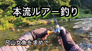 【本流ルアー】本流ヤマメを求めて！色んな意味でのリベンジ釣行！