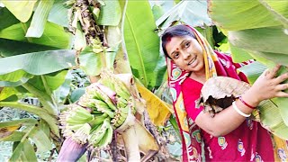 গ্রামের পরিবেশে কলা বাগান দেখাশোনা Indian village vlog Priyankamaity67