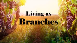 Living as Branches - John 15 - 12/29/2024