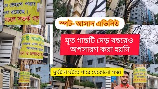 আসাদ এভিনিউয়ে মৃত গাছের হুমকি|| Asad Avenue|| BIPUL TALK ||