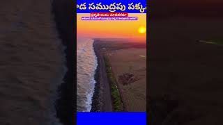 మన కాకినాడ సముద్రపు దారిలో కనువిందు చేస్తున్న ప్రకృతి అందం #pudamitvnews