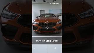 MBTI로 완전 정리! THE 5🚗 M Sports VS Luxury 비교