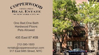 405 East 87 Apt 5B (P#)