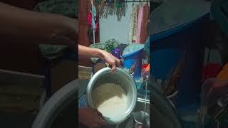 HOW TO COOK RICE IN RICE COOKER (PAANO MAGSAING NG BIGAS SA RICE COOKER)