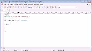 Beginner PHP Tutorial 44 Expression Matching ‏