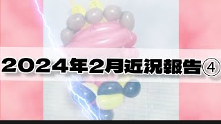 2024年2月近況報告④