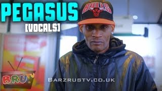 BarzRusTV - Pegasus - [VOCALS]