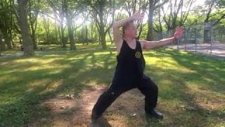 (Video #77) 24 Posture Simplified Yang Short Form Instructional: up to Fan Through the Back (Line 4)