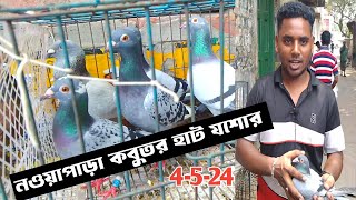 নওয়াপাড়া কবুতর হাট যশোর ৪-৫-২৪ pigeon market bangladesh,khulna pigeon marketনওয়াপাড়া কবুতরের হাট