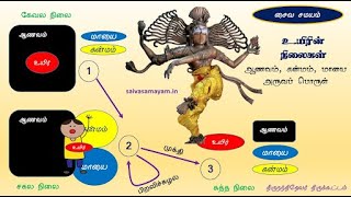 சைவ சித்தாந்தச் சுடர் வகுப்பு - SS B4 - (3) - 29.07.24 – EDITED