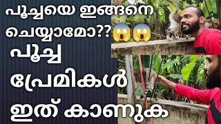 പൂച്ച പ്രേമികൾ ഇത് കാണുക//cat lovers must see this video//