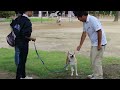 1、2年生一緒に犬のお世話➁・動物・学校・新潟・長野