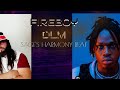 FIREBOY DLM( JEALOUS- REMIX ) ON INSTRU BY SAGE'S HARMONY BEAT TRAP RNB 2024