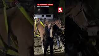 California Firefighters Pull Off Daring Airlift to Save Stranded Horse