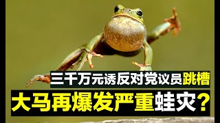 【先见人生】第86期 大马将再度爆发严重蛙灾？反对党议员纷纷收到3000万元部长职跳槽献议