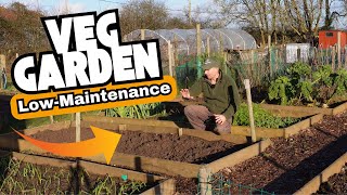 Planning a Thriving (Low Maintenance) Vegetable Garden