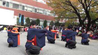 理大祭 10' 2日目 東海大学 響 -花火-