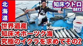 北海道知床半島アキアジ船釣りに挑戦DAY２