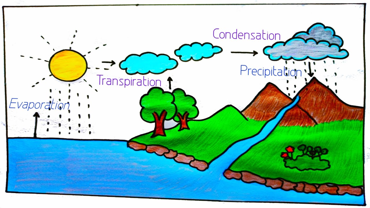 Water Cycle For Kids To Draw