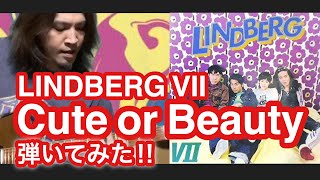 Cute or Beauty / LINDBERG Ⅶ / 沖縄ギタリストJIN