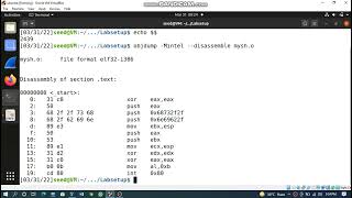 Shellcode Seed lab 1