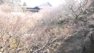 2012.02.04京都・立春の東福寺