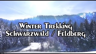 Winter Biwak im Schwarzwald/ Black Forest - Feldberg I Trekking I Outdoor Baden-Württemberg