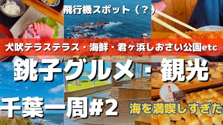 【千葉県】銚子周辺おすすめグルメと観光‼️千葉一周#2 #銚子グルメ#犬吠埼灯台#犬吠テラステラス