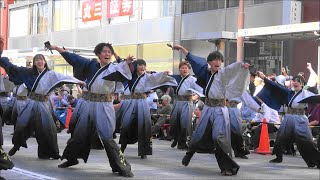 千葉工業大学よさこいソーラン風神部・第24回東京よさこい2023年10月7日。