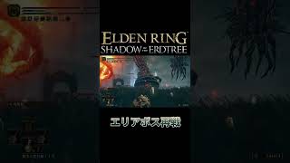 #1-4 エリアボス再戦【ELDEN RING DLC】