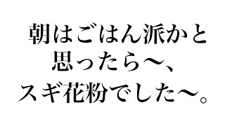 『コウメ太夫、Ai太夫、作者太夫』の中から正しいコウメ太夫のネタを選ぶクソゲーをリリースしました。