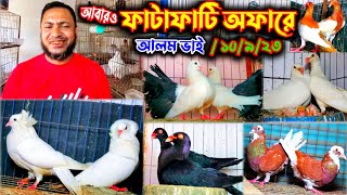 আবারো ফাটাফাটি অফারে ৭০ জোড়া কবুতর বিক্রি ডিম বাচ্চা সহ | একদম পানির দামে কবুতর কিনুন খামার থেকে |