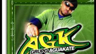 Aguakate- Intentalo Tu