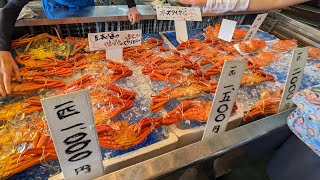 【寺泊】魚の市場通り〜ずわい蟹が1杯1,000円〜（ノーカット）