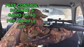 PEST CONTROL SQUIRRELS GAMO GX-40 BUDGET PCP 177