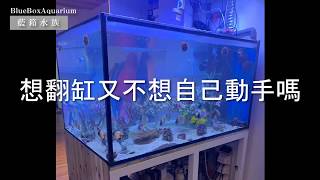 【藍箱水族】專業翻缸紀錄—桃園張先生