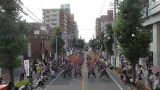 大阪市立大学チーム朱蘭『溢喜』　ど真ん中祭り2019　平針パレード会場　3パレード目