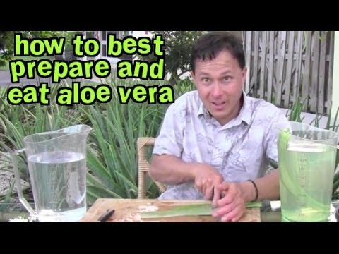 Frequently asked questions about how to best prepare and eat Aloe Vera and Aloe