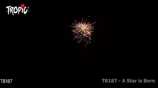 TB187 - A Star is Born - TROPIC Fireworks, Fajerwerki, Feuerwerk, Vuurwerk, Feu d'artifice