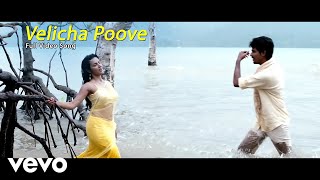 Ethir Neechal - Velicha Poove Video | Sivakarthikeyan, Priya
