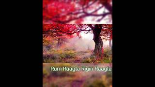 रम रागता रिगिरि रागता | Rum Raagta Rigiri Raagta | दिलबरा | Dilbara  #music