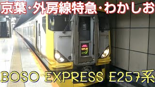 【房総特急乗り比べ②】特急わかしお号･E257系500番台に乗ってきた。