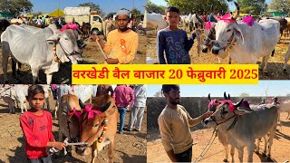 वरखेडी बैल बाजार live 🔴 20 फेब्रुवारी 2025 || varkhedi bail Bajar #बैलबाजार #bailbajar