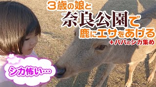 【恐怖の鹿】鹿にエサの鹿せんべいをあげてみた【奈良・奈良公園】